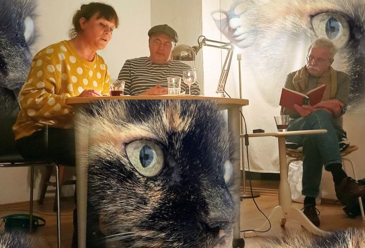 Ein Karfreitag auf Samtpfoten mit dem Katzenkrimi „Gangs of Katzenstadt ...